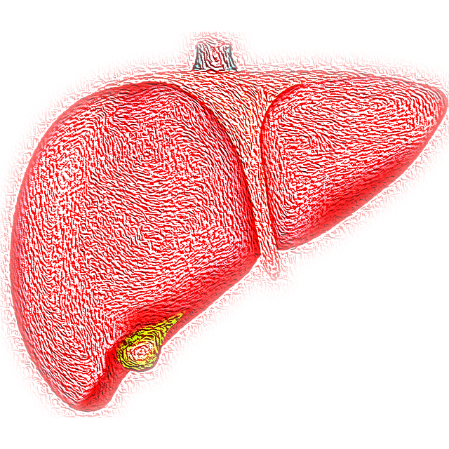 Life Expectancy with Fatty Liver Disease: What You Need to Know
