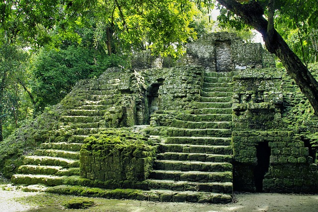 Exploring the Ancient Mayan Ruins