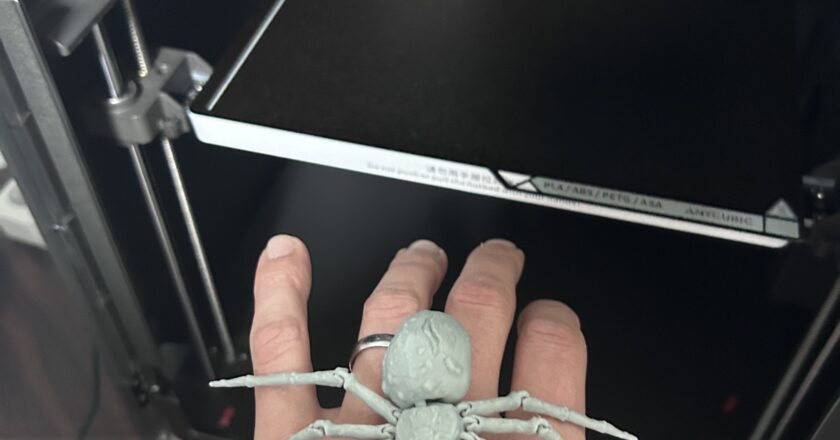 3D Printed Spider