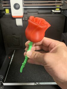 Spiral rose with stem