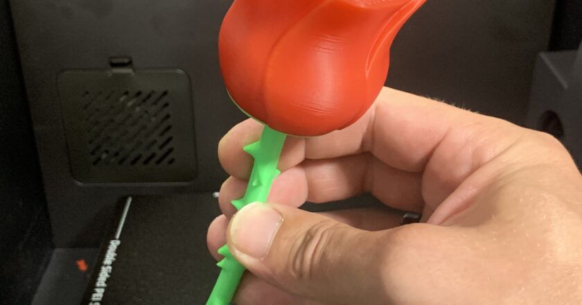 3D Printed Spiral Rose With Stem
